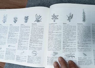 Manuale giardinaggio vintage