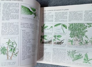 Manuale giardinaggio vintage