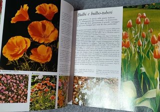 Manuale giardinaggio vintage