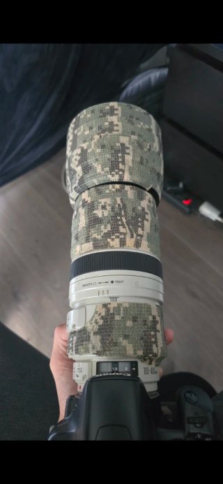 Canon EF 100-400mm