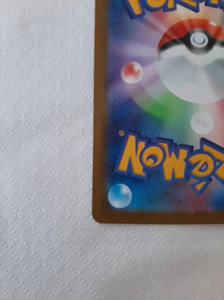 Carta Pokémon Riolu 091/193