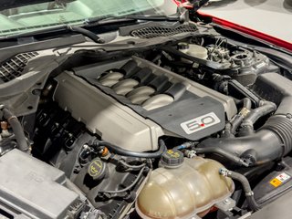 FORD MUSTANG GT 5.0 V8 · NACIONAL PERFORMANCE PACK ·