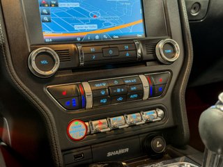 FORD MUSTANG GT 5.0 V8 · NACIONAL PERFORMANCE PACK ·
