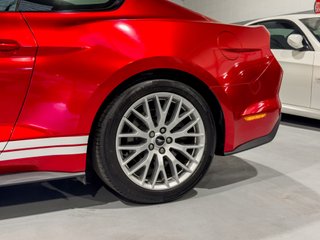 FORD MUSTANG GT 5.0 V8 · NACIONAL PERFORMANCE PACK ·