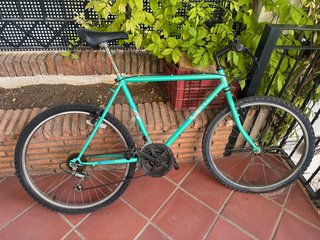 Bicicleta Sakata Vintage
