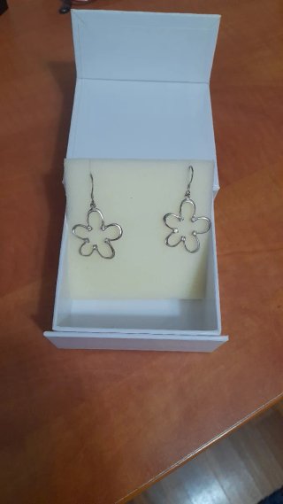 Pendientes Plata Flor Circonitas