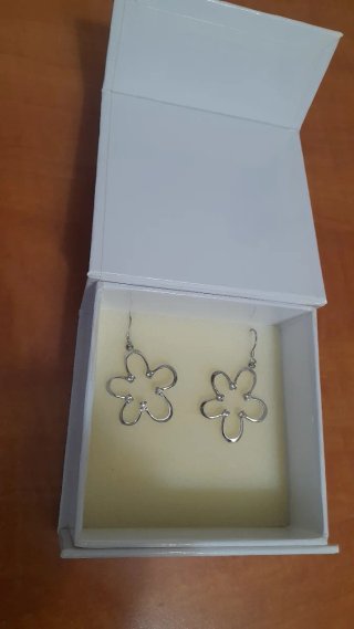 Pendientes Plata Flor Circonitas