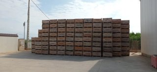 Palets de madera para fruta