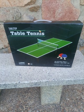 Mesa Ping Pong Portátil 30x60