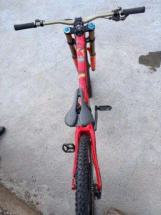 Santa Cruz V10