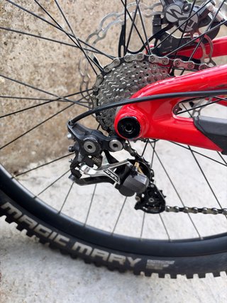 Santa Cruz V10