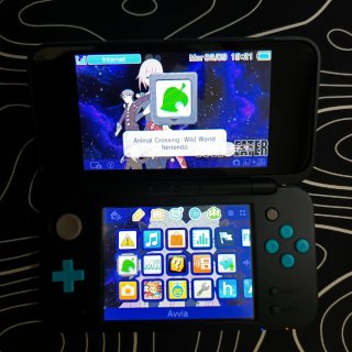 Animal Crossing Wild World DS PAL ITA