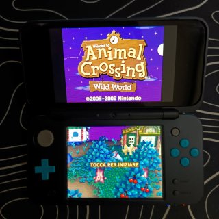 Animal Crossing Wild World DS PAL ITA