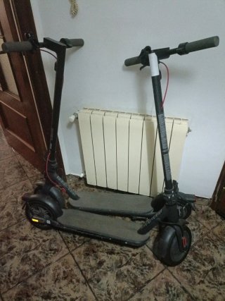 Patinetes Eléctricos Xiaomi (2 unidades)