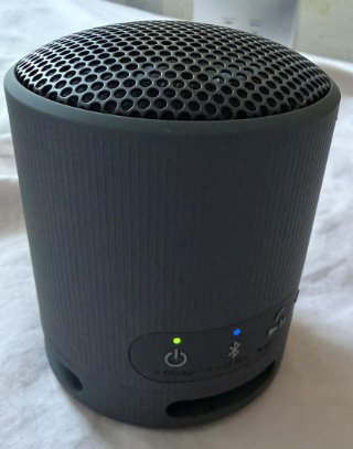Altavoz Sony XB100 Negro Inalámbrico 16h