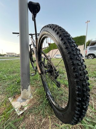 Ghost Riot Trail AL Essential | 29” |