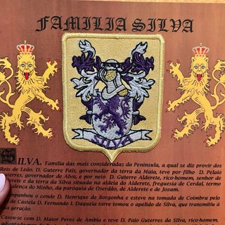 Brasão de Família Pintado à Mão