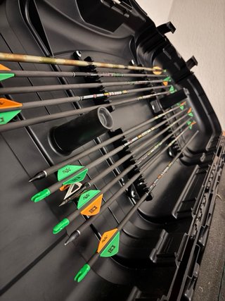 Arco de poleas Browning Rage