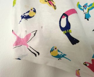 Camiseta Nudo Delantero Estampada Pájaros Bershka