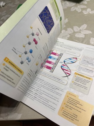 Biologia i geologia, 4 ESO