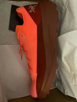 Zapatillas Arc'teryx Norvan LD 4 42