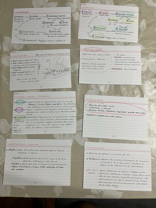 Nou biocontext 2 Biologia : batxillerat