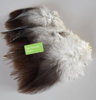 Mazos de plumas PEC
