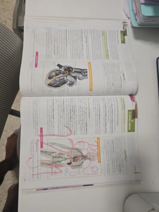 Anatomía aplicada, 1 Bachillerato