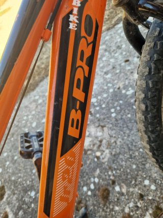 Bici infantil 20'' BPRO naranja