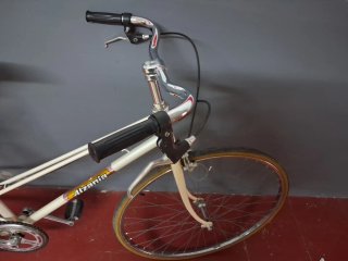 Bicicleta Paseo Retro Alzania