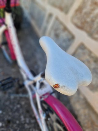 Bici niña 20'' Fashion Girl