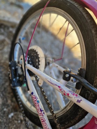 Bici niña 20'' Fashion Girl