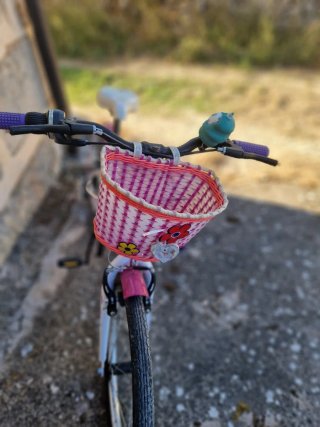Bici niña 20'' Fashion Girl