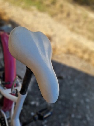 Bici niña 20'' Fashion Girl