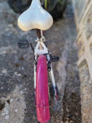 Bici niña 20'' Fashion Girl