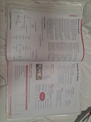 Geografía e Historia 2°ESO