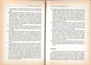 Hierbas en magia y alquimia metodos de la Antig...