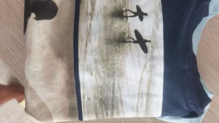 Lote 9 camisetas y 3 polos