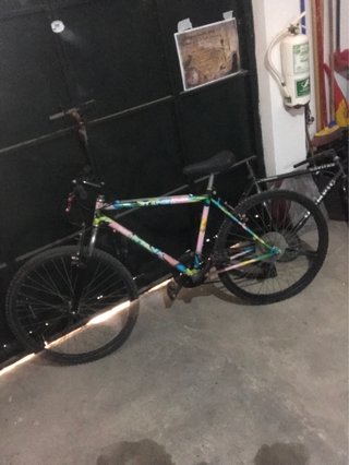 Bicicleta de Montaña