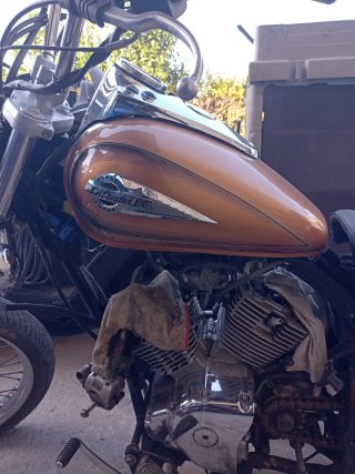 Yamaha Intruder CL 250 Motor