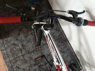 Bicicleta Freerider 20 Doble Suspensión