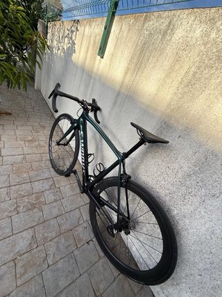 Bicicleta da strada S-WORKS OFERTON