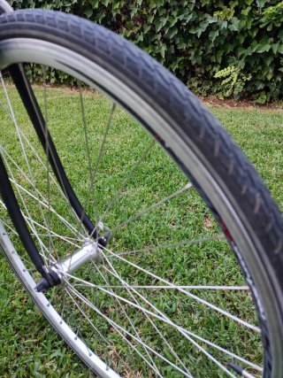 Bicicleta Clásica Orbea