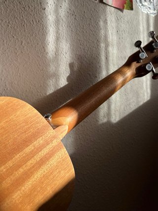 Ukelele Batking