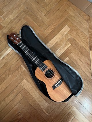 Ukelele Batking