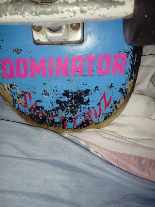 Skate Santa Cruz sgreaming foot