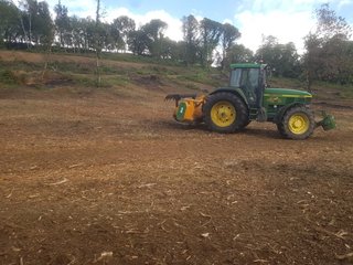 Desbroce plantaciones forestales
