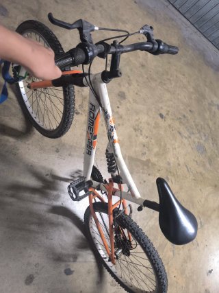 Bicicleta