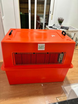 Caja Transporte Animales Gigante 700