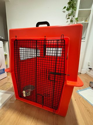 Caja Transporte Animales Gigante 700